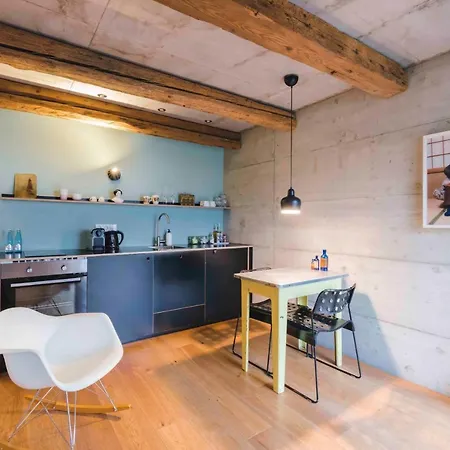 Friz Barn Lofts Stylische Garten Parkplatz Zentral Διαμέρισμα Gundelfingen (Breisgau)